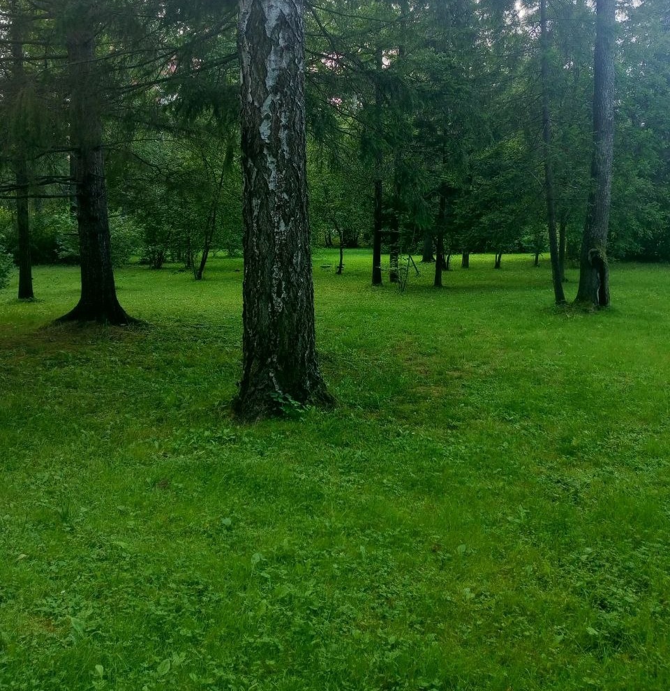 Летнее фото