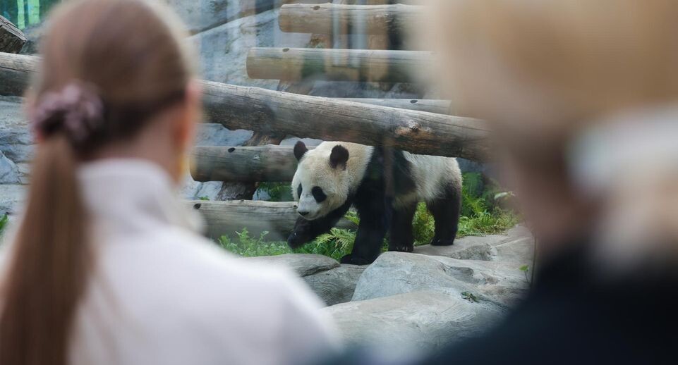    Shatokhina Natalia/news.ru / www.globallookpress.com