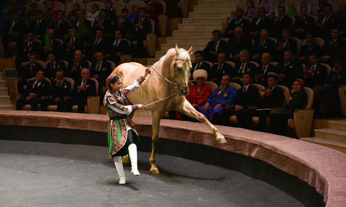    Цветокоррекция оригинального изображения была произведена с использованием ИИ "Ниязов 2.0"