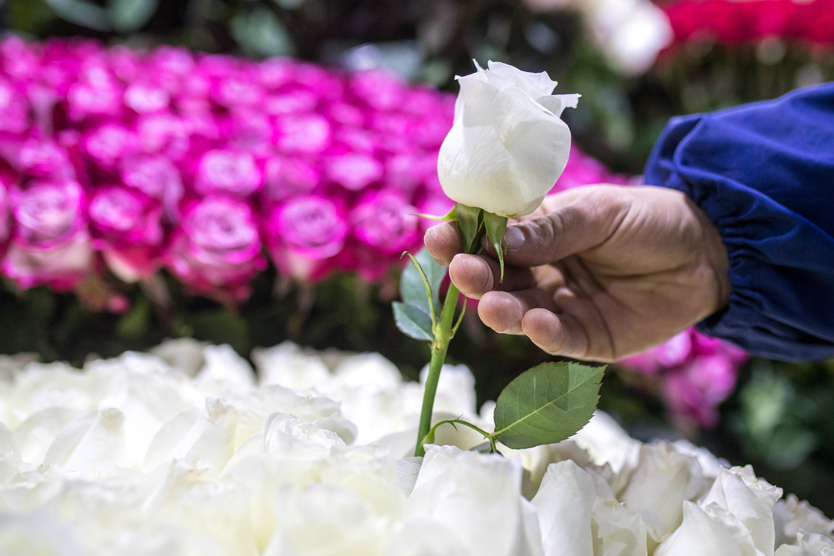 Фото: Сергей Бобылев / ТАСС