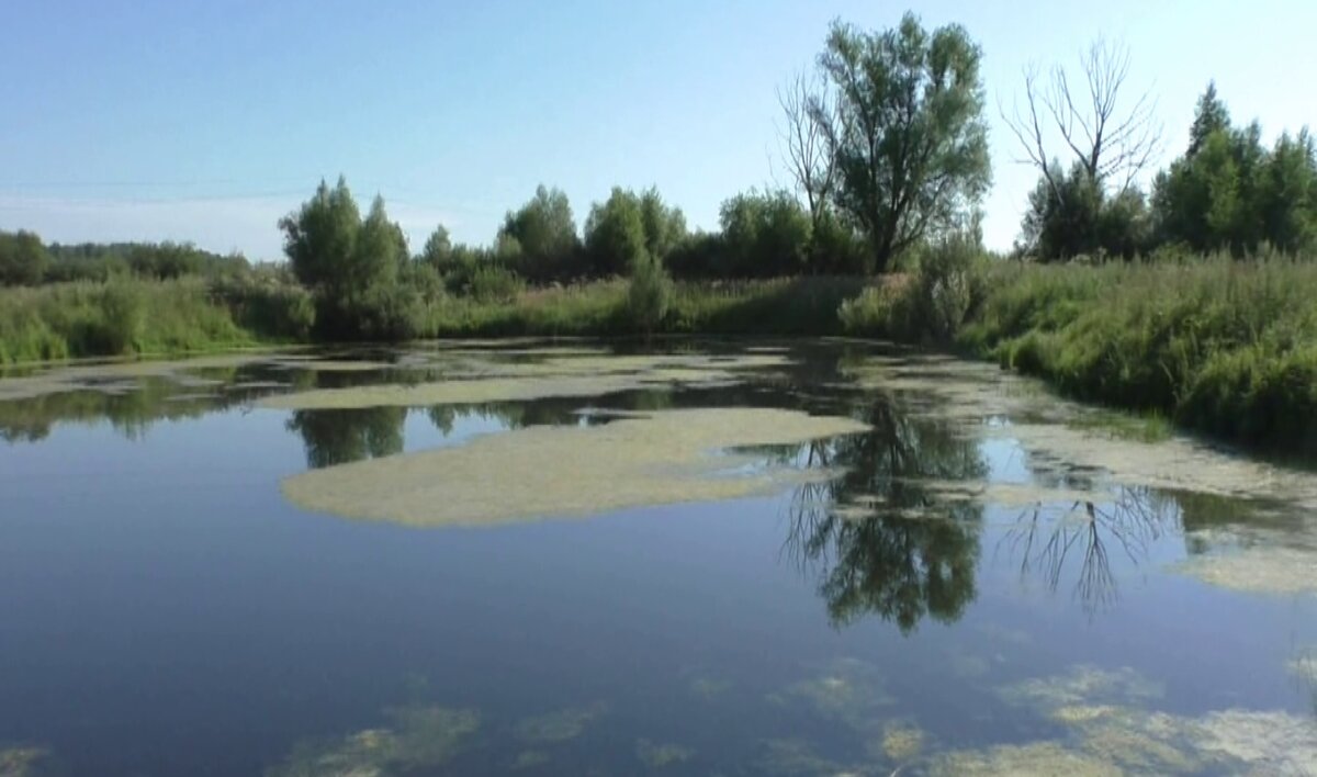 В те годы о купании в Школьном пруду уже не шло и речи...