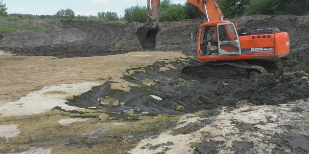 Очистка пруда: как я смог ее организовать, и что у нас получилось (4 часть - Школьный пруд)