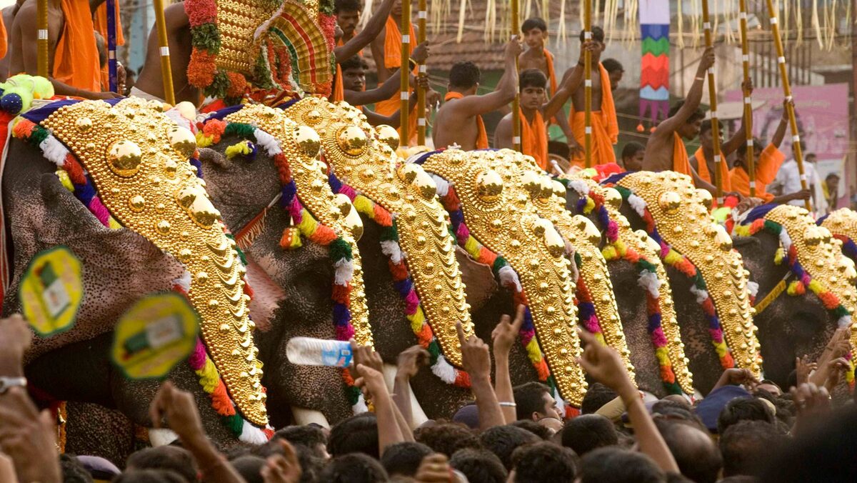 для иллюстрации. Парад слонов