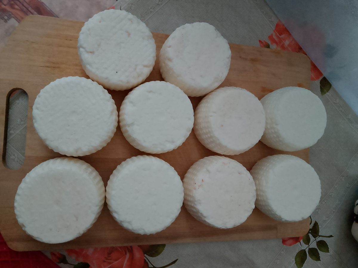 На фото Французский сыр «Кроттен-де-шавиньоль», ему всего 4 дня.