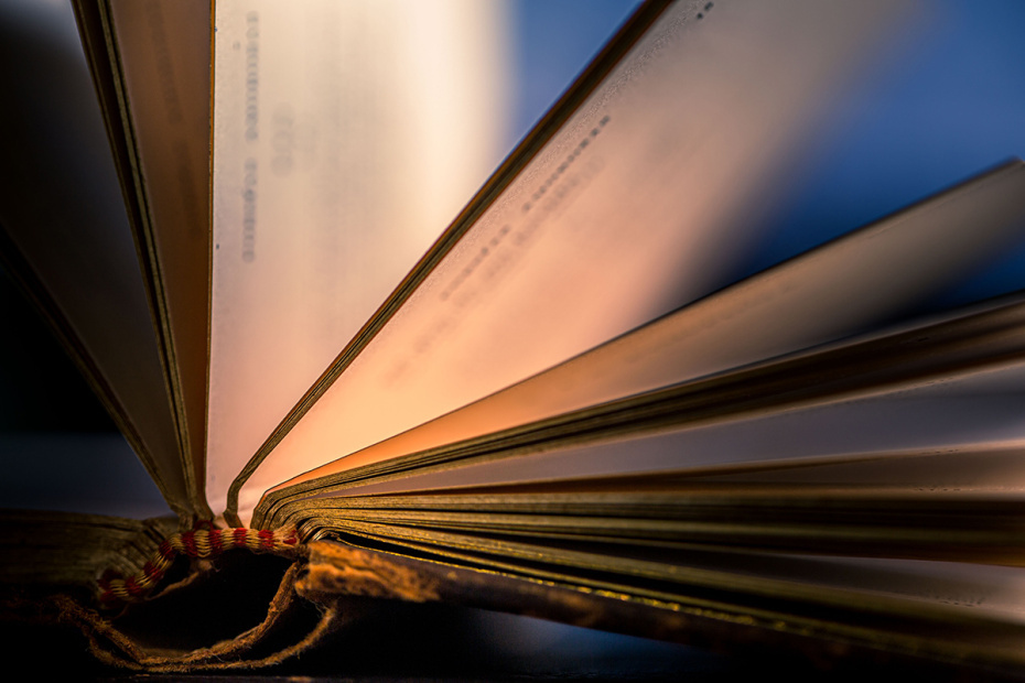    Shutterstock/FOTODOM