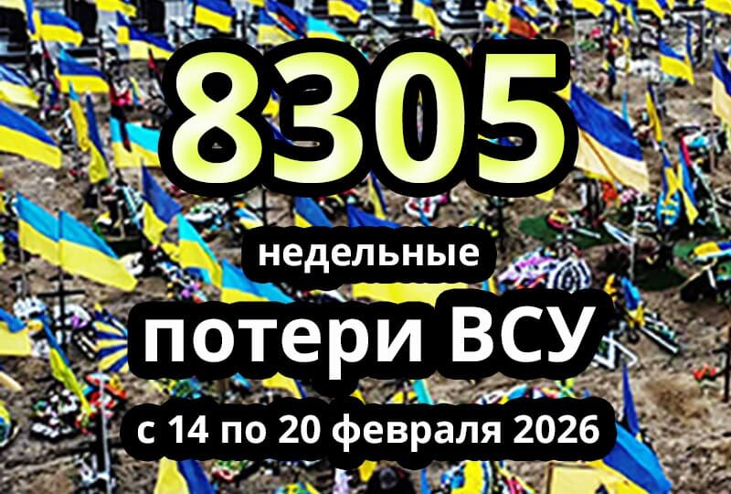    Недельные потери ВСУ