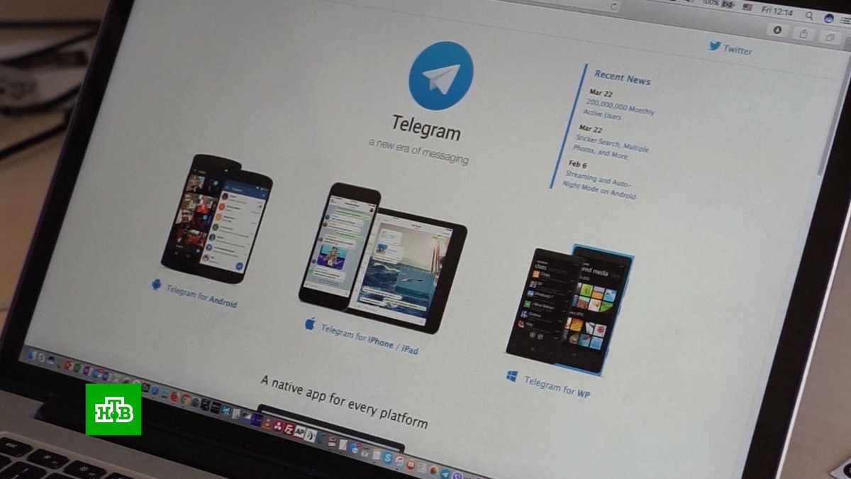    ФСБ: использование Telegram в зоне СВО создает угрозы для жизни военных ВС РФ