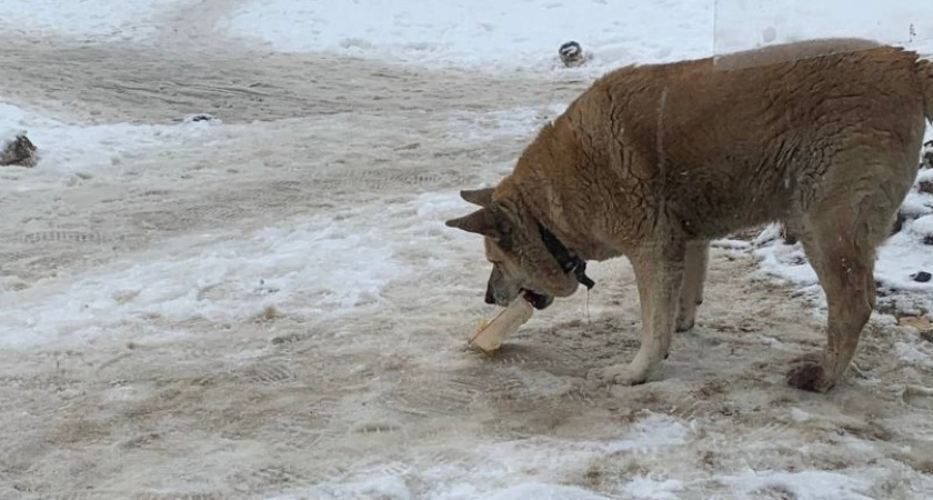    Фото из архива