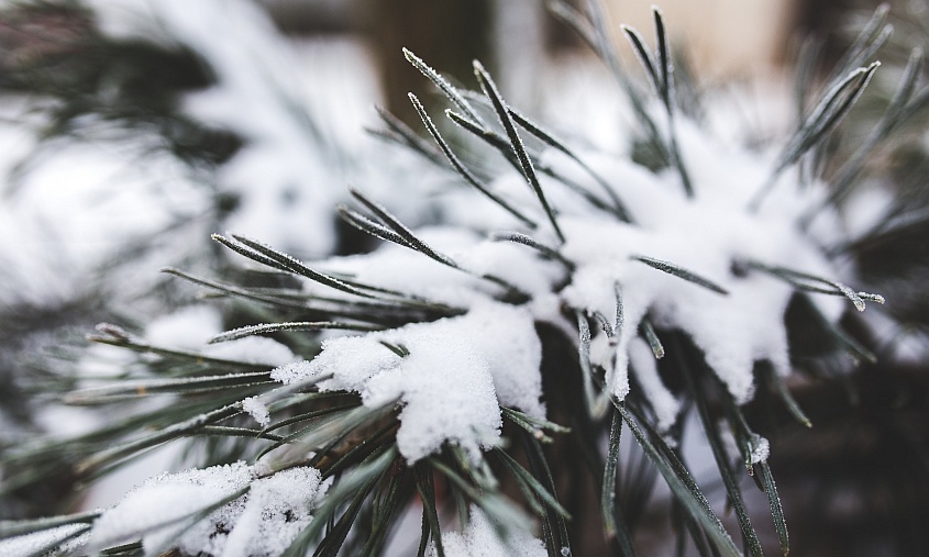 Сильный ветер и снег: в Благовещенске ввели режим повышенной готовности