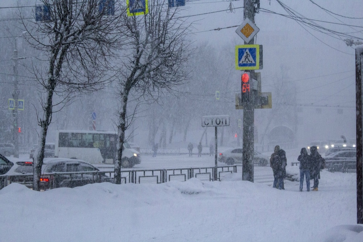    Фото: Николай Реинфолов Юра Белый