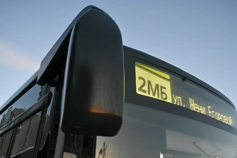    В Парголово запустили новый автобусный маршрут. Фото: t.me/polyakov_kv