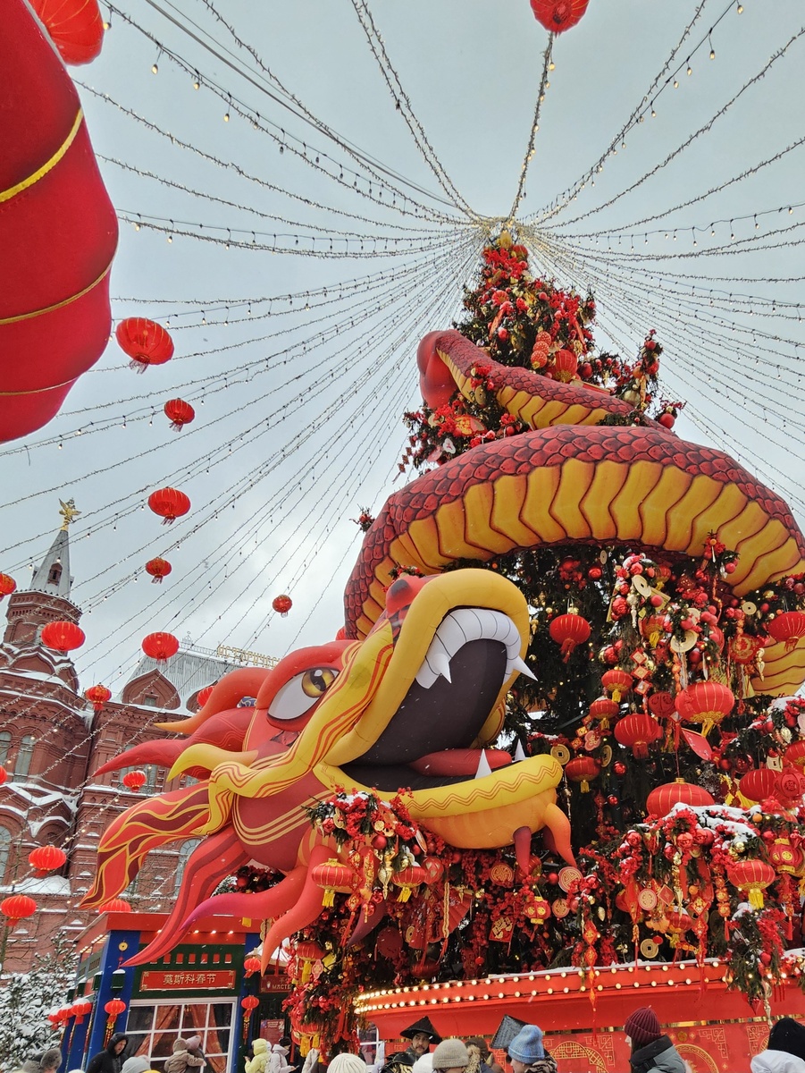 Китайский Новый год (автор фото Л.Баева)