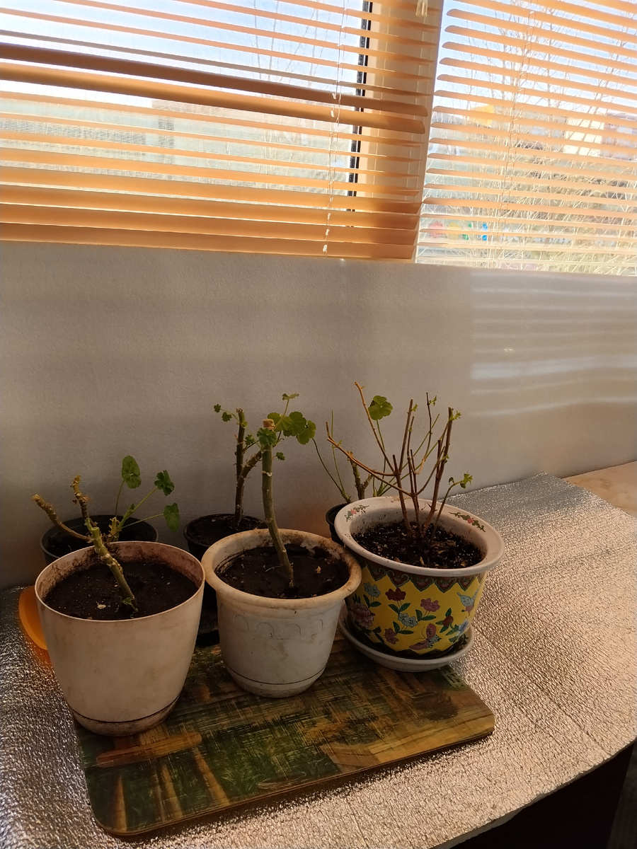 Тёплое светлое местечко. Фото автора. 