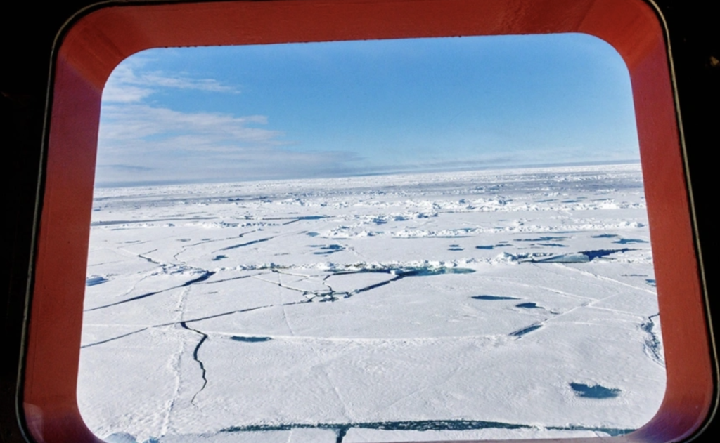    Фото: Илья Тимин / РИА Новости Редакция