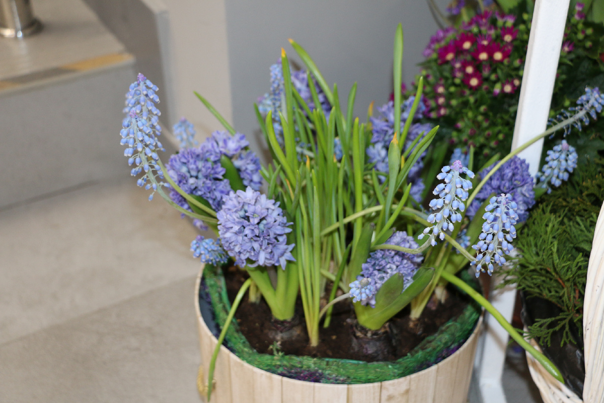 Фото: Наталья Мазниченко