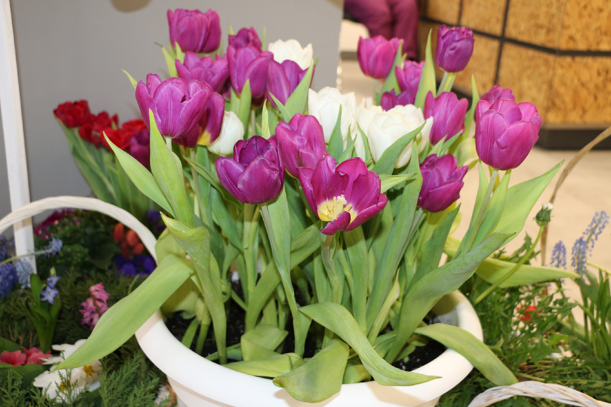 Фото: Наталья Мазниченко