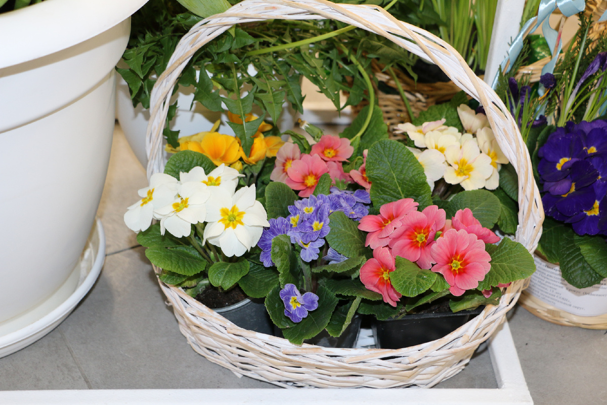 Фото: Наталья Мазниченко