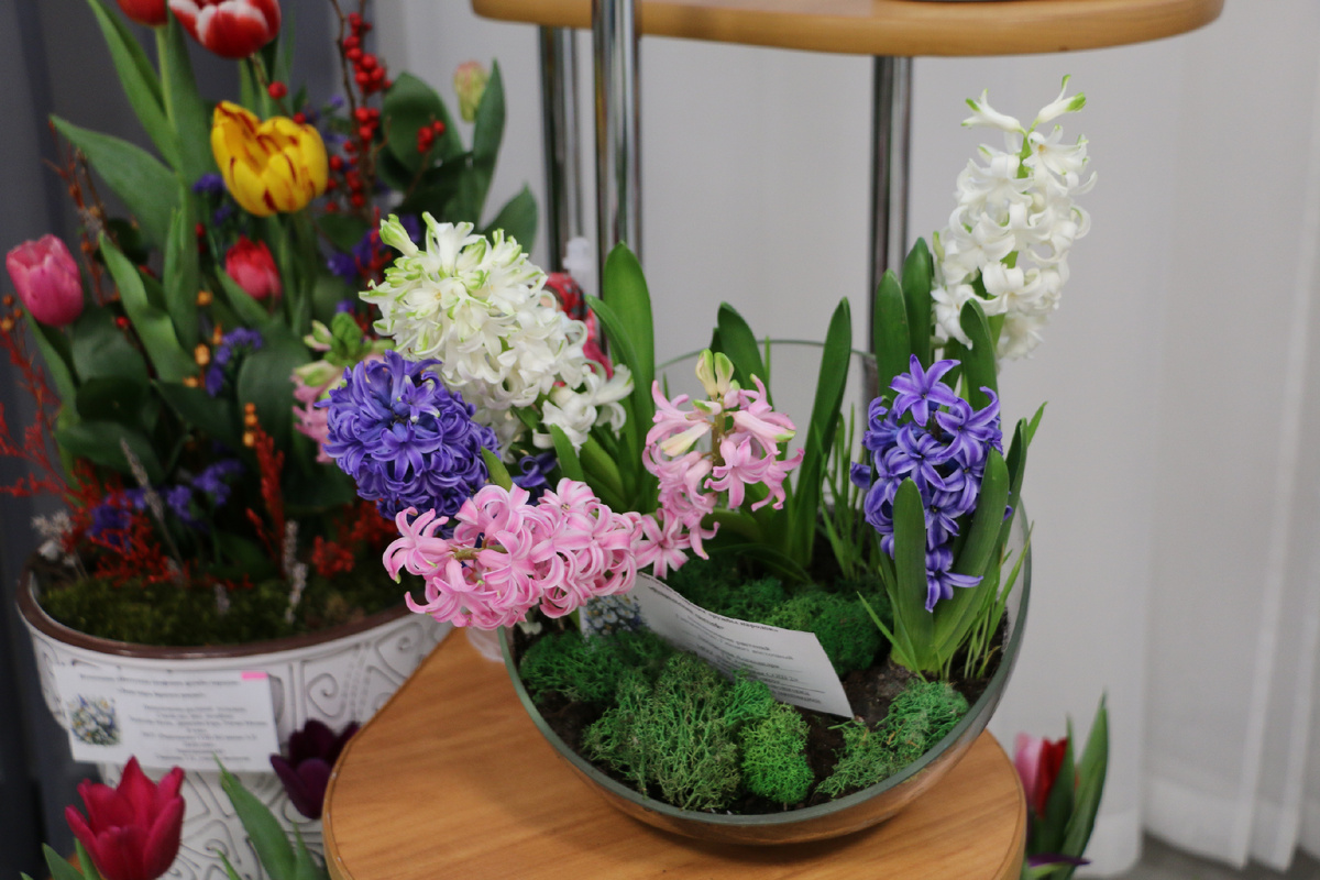 Фото: Наталья Мазниченко