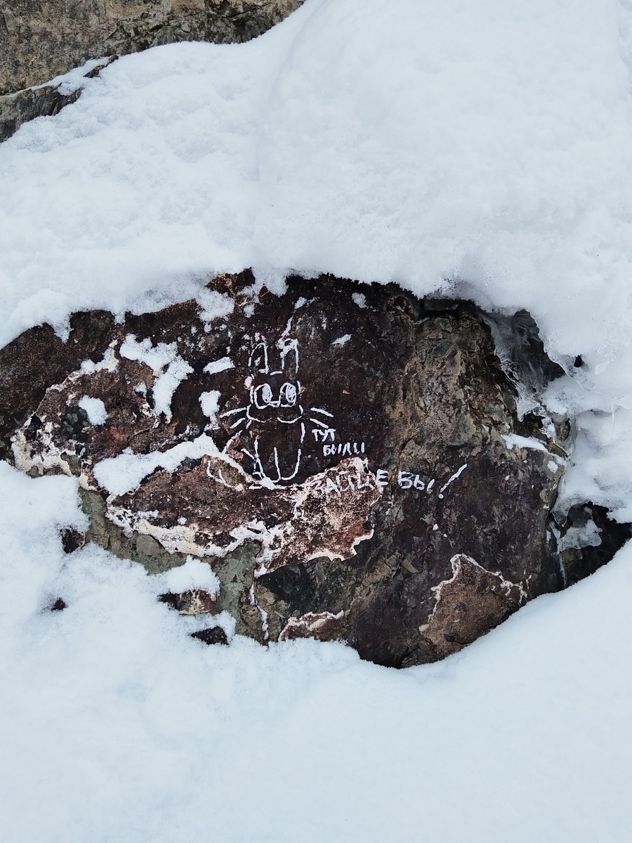    Читатель «Фактора»