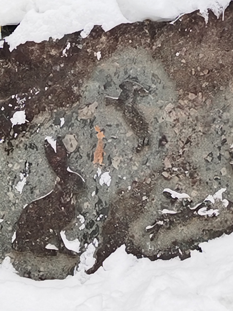    Вандалы испортили «Долину зайцев» в КарелииЧитатель «Фактора»