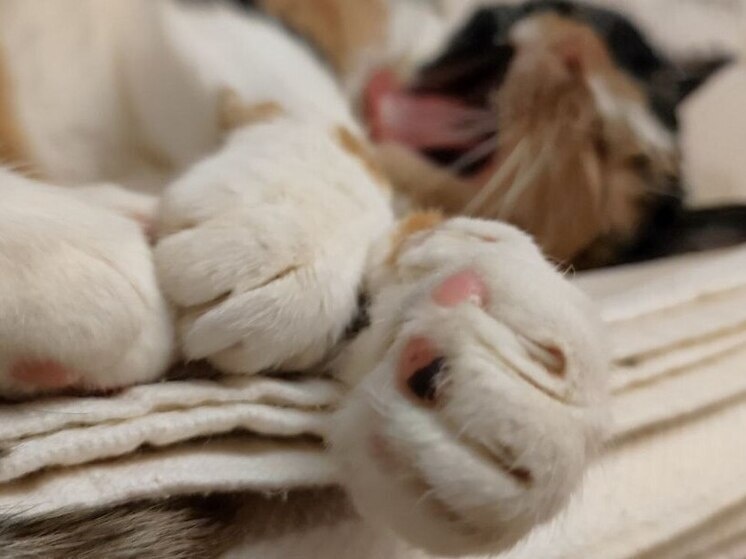     Жителям Хакасии не удастся отоспаться про запас на выходных. ФОто: архив МК в Хакасии