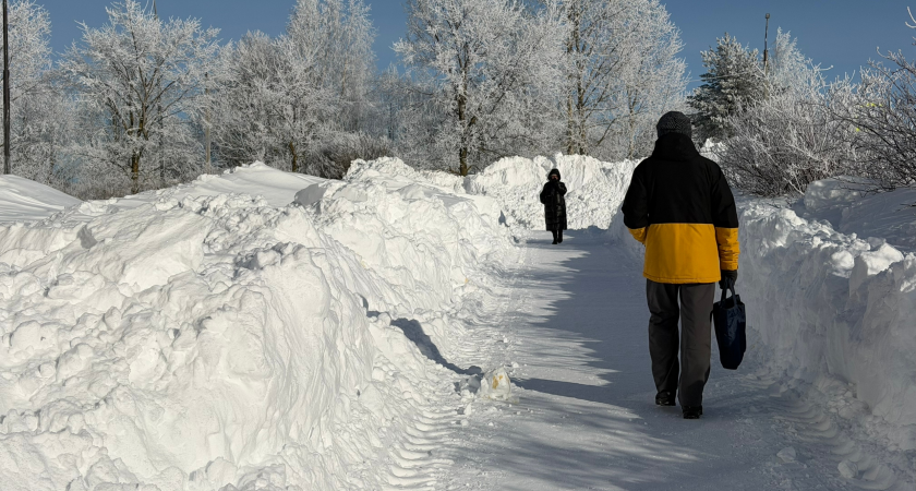    Фото: prochepetsk.ru