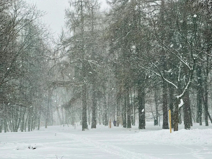     Фото МК в Рязани