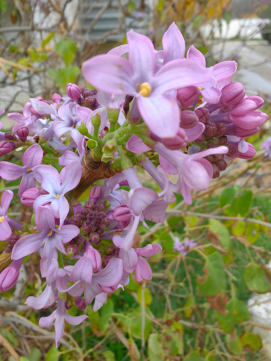 Фото автора канала