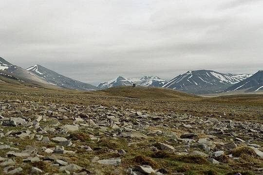    WSJ: Россия выступила против интеграции Шпицбергена в военное планирование НАТО (фото: commons.wikimedia/Uuuuuulya)