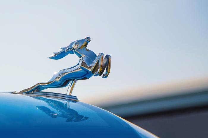 Обложка © Shutterstock / FOTODOM /DimaSid