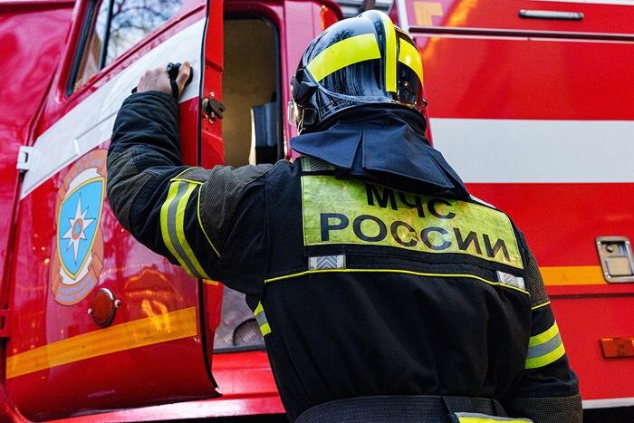 Обложка © ТАСС / Олеся Чепурченко