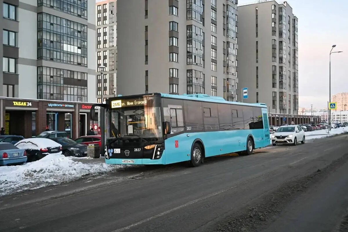    Фото: тг-канал вице-губернатора Кирилла Полякова