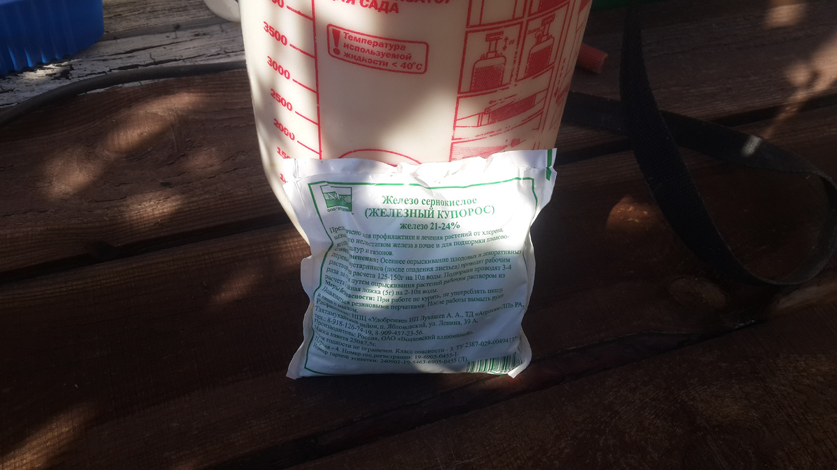 Весенняя обработка сада: подробный и понятный план здорового старта сезона. Фото автора