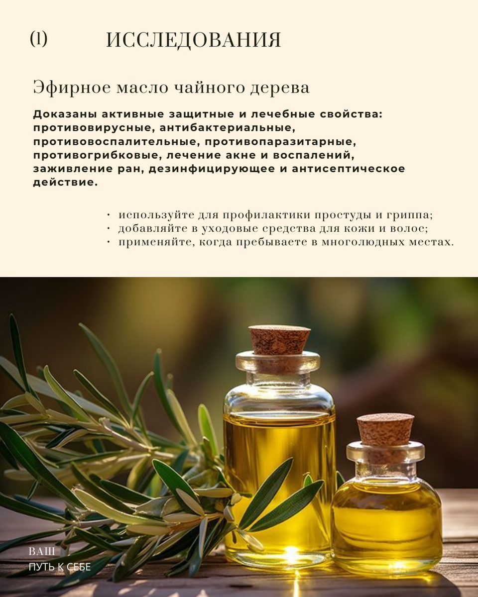 Свойства эфирного масла чайного дерева
