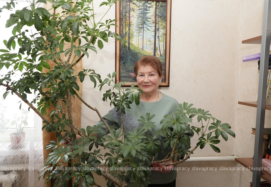     Цветочная симфония Надежды Короленко: как вырастить сад мечты на Копыльщине