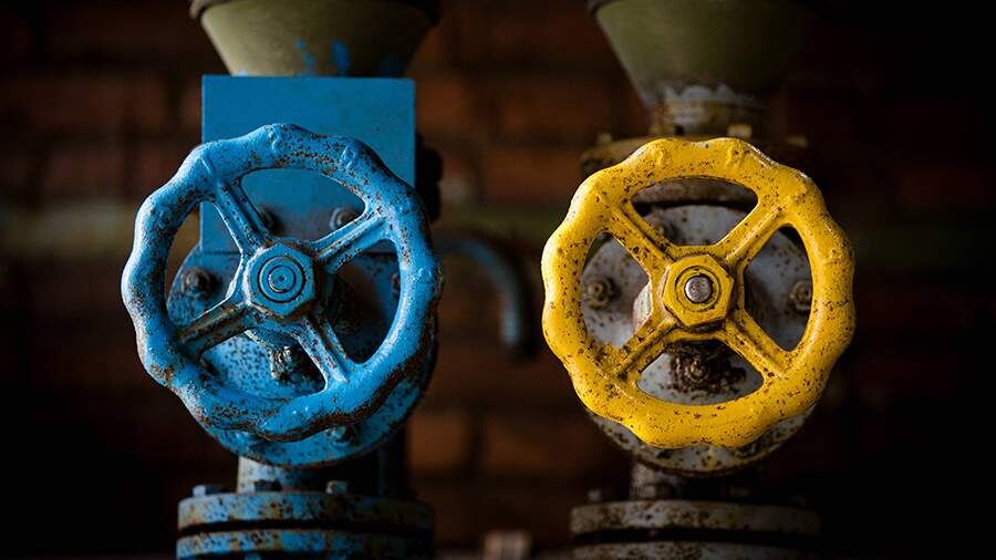    Фото: Global Look Press/IMAGO/Martin Schroeder