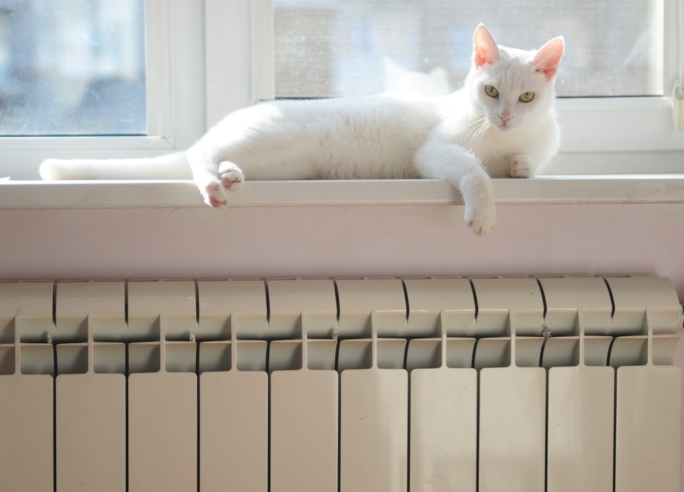    На намыве Васильевского острова продолжаются ремонтные работы. Юлия ПЫХАЛОВА