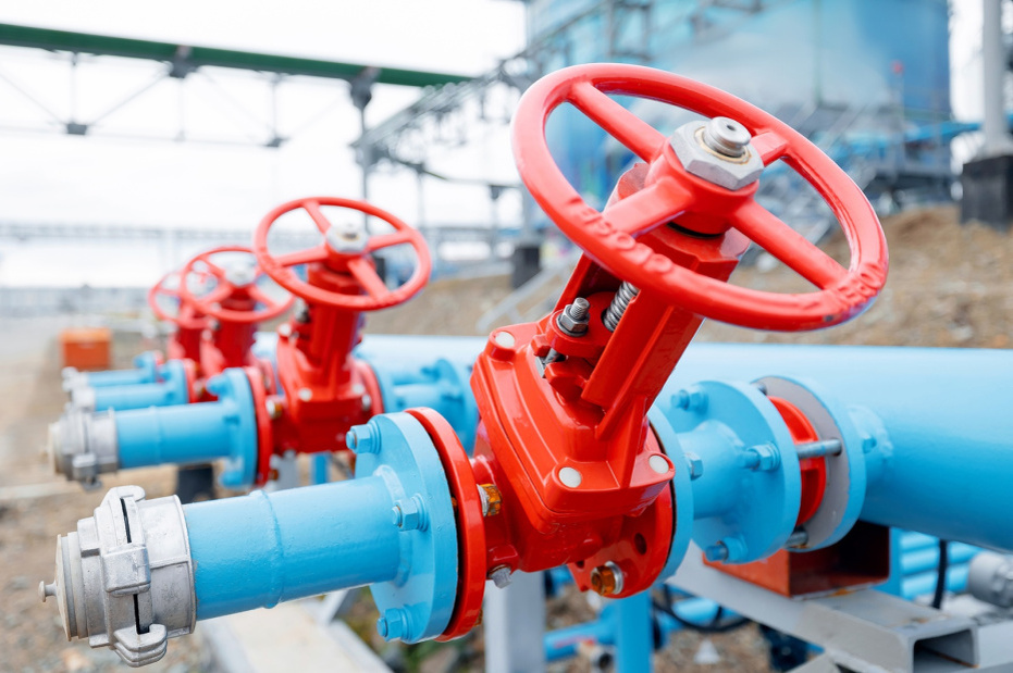    Shutterstock/FOTODOM