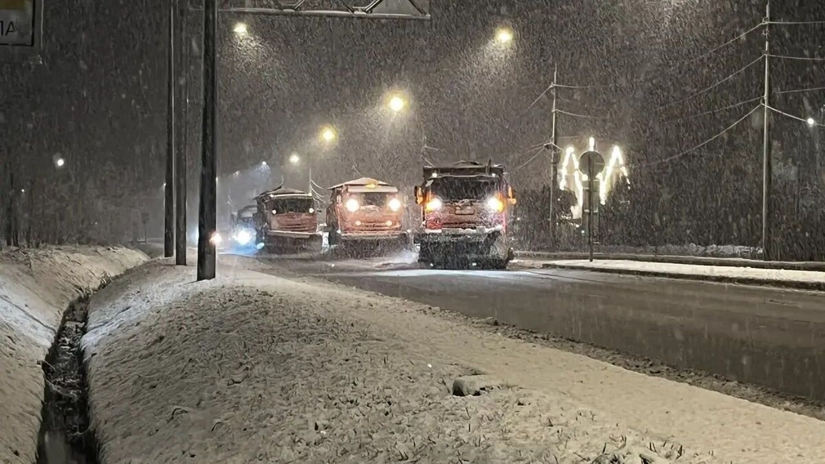   Telegram-канал комитета по благоустройству Петербурга