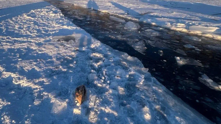    Фото: © РИА Новости; МЧС РОССИИ; 5-tv.ru