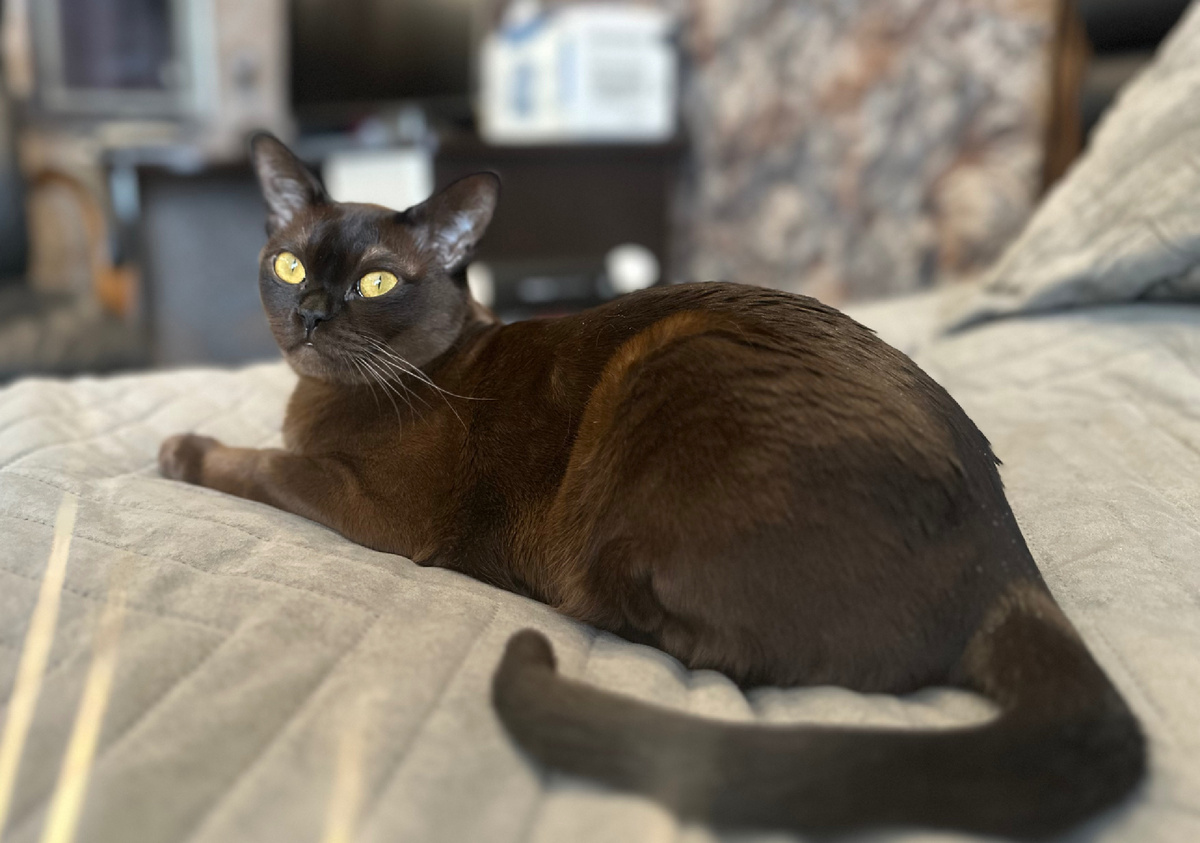 Моя красота Дива