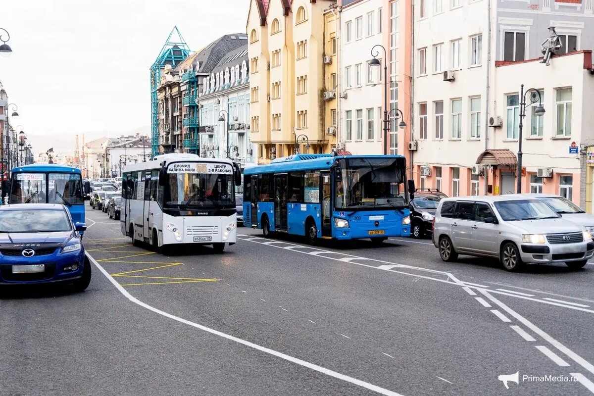    Фото: primamedia.ru Дарья Николаева