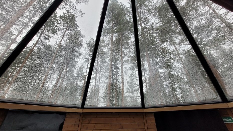    Автор фото: mimihoitaa/Shutterstock/FOTODOM