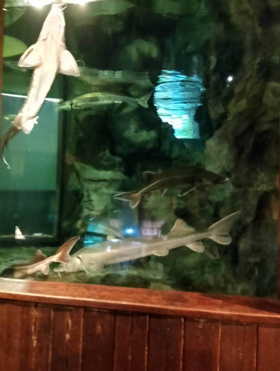 Фото автора .