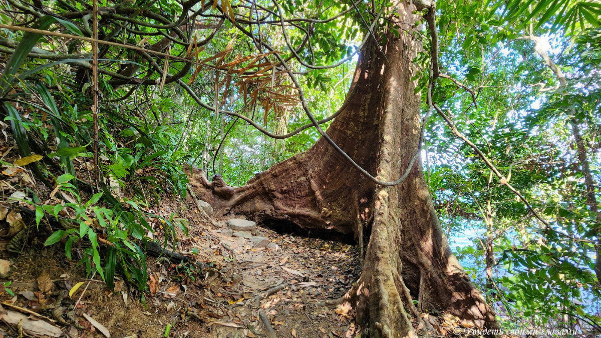 Тропа через джунгли от пляжа Нанг Тонг к маленькому песчаному пляжу с валунами