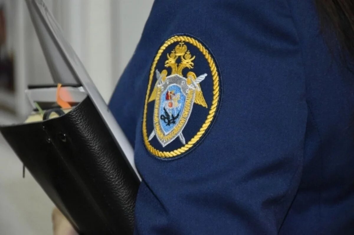    Бастрыкин поручил возбудить дело из-за нарушения прав жильцов в Пензе