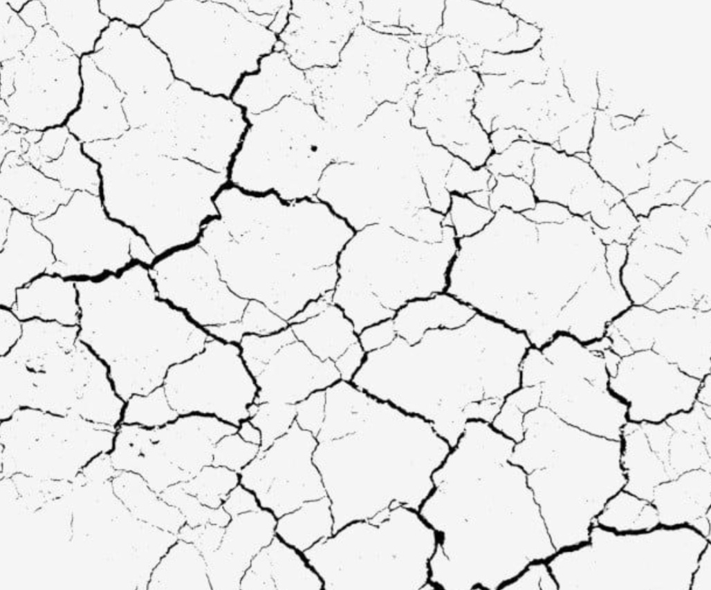 Гугл картинки. 