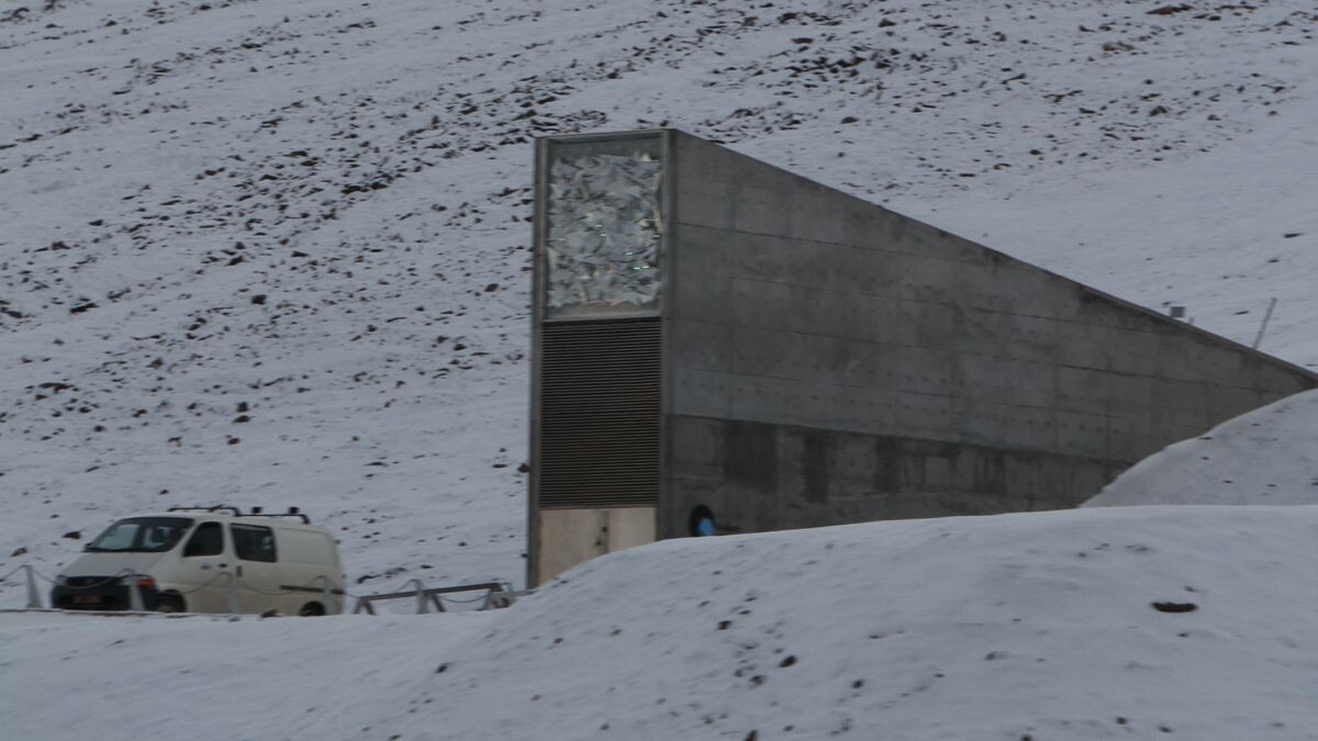     Вход в хранилище семян на Шпицбергене   
(сс) Bjoertvedt