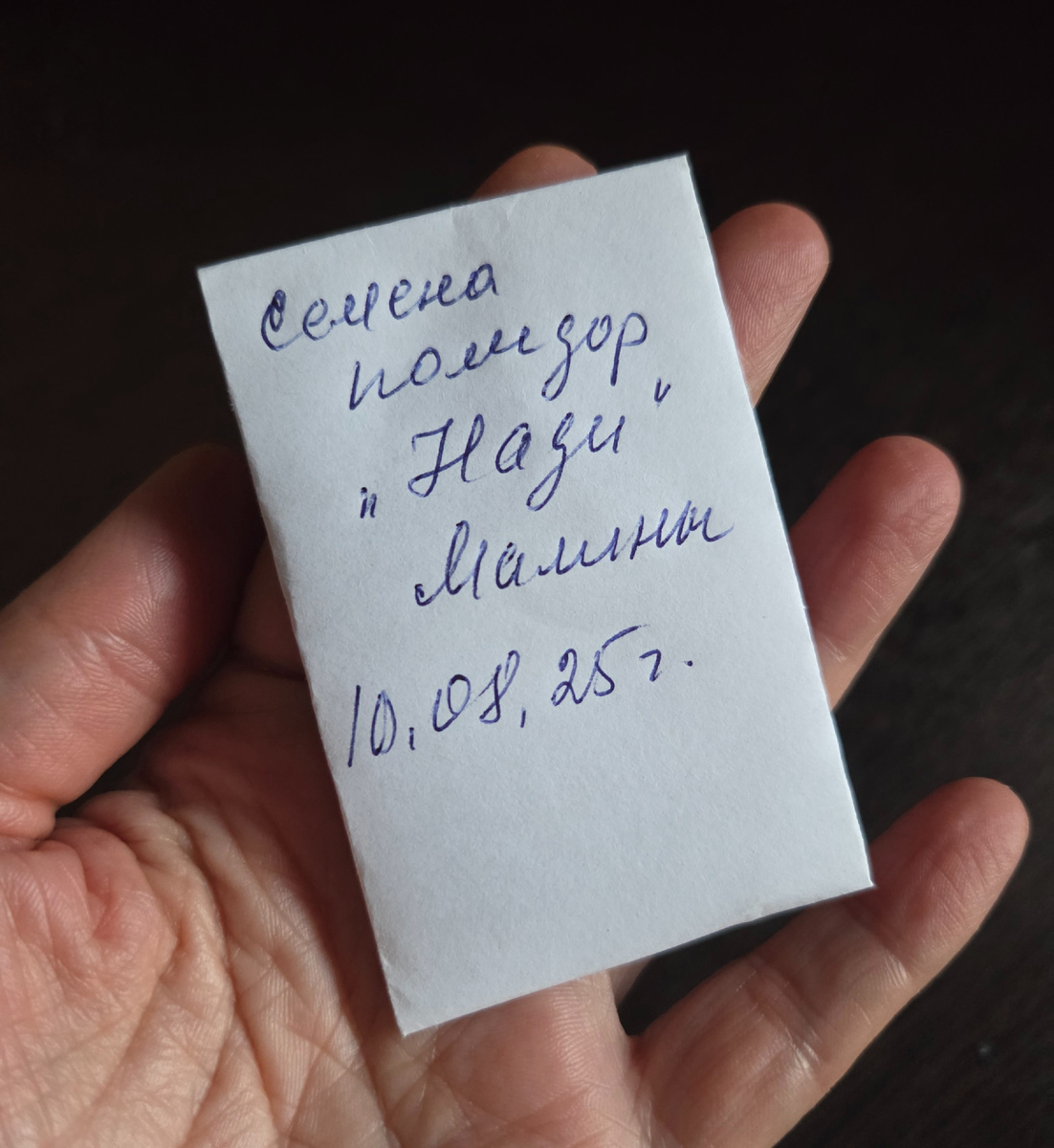 Фото: Зеленая леди,  сад, семья и томатный сок 