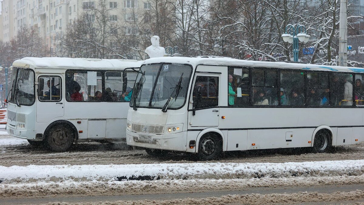    Фото: Антон Вергун